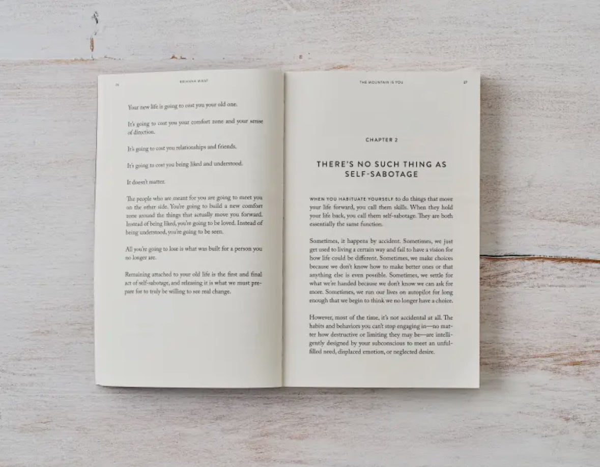 The Mountain Is You - Book