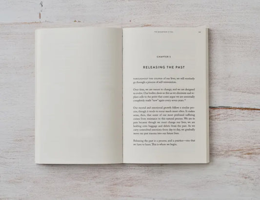 The Mountain Is You - Book