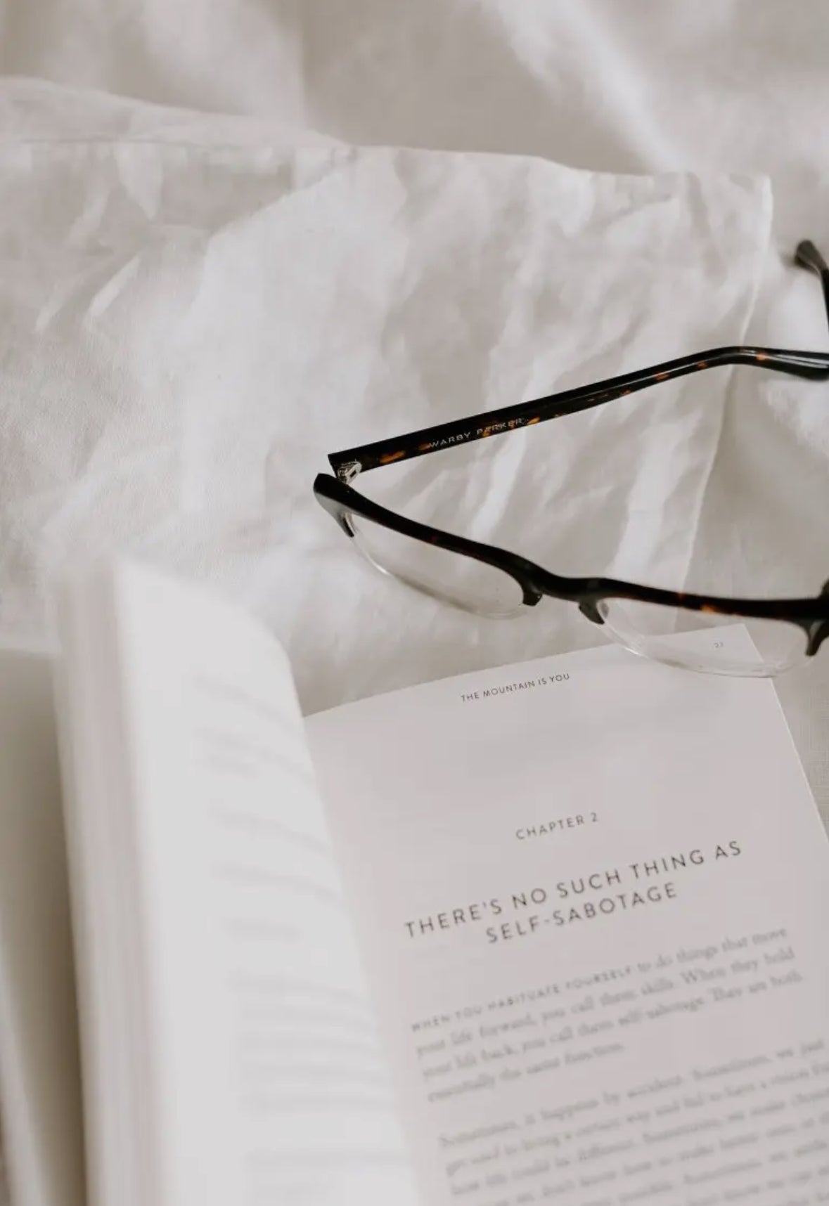 The Mountain Is You - Book