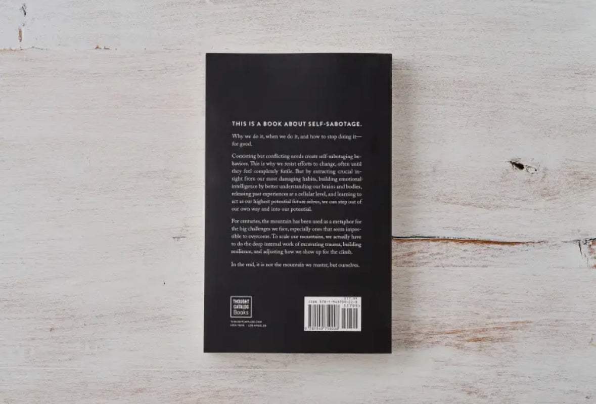 The Mountain Is You - Book